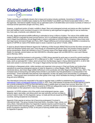 Environment and Globalization
http://www.globalization101.org
11
Trade in animals is a worldwide industry that is large and lucrative industry worldwide. According to TRAFFIC, an
international monitor of wildlife trade created by the World Wildlife Fund (WWF) and World Conservation Union in 1976,
the legitimate, international wildlife industry has an estimated worth of US $300 billion and involves hundreds of millions of
individual animal specimens (Engler and Parry, 2007).
However, a significant portion of trade in wildlife is illegal. Rare and endangered animals and plants are often transferred
from wild habitats in poor countries to buyers in rich countries by well-organized smuggling rings for use as medicines,
furs, food, pets, ornaments, and collectors’ items.
Annually, illegal international wildlife trafficking is estimated to bring in billions of dollars. The nature of the wildlife trade
makes it difficult to estimate the exact annual revenue, but it is considered second-largest cross-border criminal activity
next to illegal drug trafficking. Annual illegal trade in caviar is estimated at US $244 million, bringing in many times more
than legal caviar commerce (Engler and Parry, 2007). Illegal trafficking and commercialization of wildlife is considered by
agents of USFWS as “[o]ne of the fastest ways to cause a species to go extinct” (Traxler, 2009).
A report by Brazil's National Network Against the Trafficking of Wild Animals (RENCTAS) found that 38 million animals are
stolen from Brazilian forests every year. Even though an overwhelming 90 percent die in the process of being caught or
during transportation, Brazil still maintains a five to 15 percent share of the illegal wildlife trade market. In the United
States, for example, animal traders can fetch $20,000 for a Brazilian jaguar skin and $60,000 for a rare Lear's Macaw
parrot (Renctas, 2001).
There are signs that the business is only growing. In 2009, Kenya reported its worst year on record for animal poaching—
249 elephants were killed, compared to 147 in 2008 and 47 in 2007. In April 2011, the Thai Customs Office seized 247
tusks, worth an estimated $3.1 million, which arrived from the Mombasa region in Kenya (McConnell 2011). In 2012 359
tusks were seized in one bust alone. This surge in illegal activity has been echoed throughout Africa.
According to a Newsweek article, militia members and organized crime groups in Chad and Sudan are funding their
operations by poaching endangered species to trade for weapons or money (Begley, 2008). The RENCTAS report,
mentioned above, also linked illegal wildlife trafficking to crime syndicates and other illegal activities (Renctas, 2001). The
increased ease of transporting and selling these animals is just another way that globalization is consequential in the
environment. Crime syndicates have become more dispersed, so they can easily move merchandise in a clandestine
manner. These groups have connections with other global crime rings, which facilitates the linking of wildlife trafficking to
drug and arms trafficking.
The international community responded to the need to regulate trade in wildlife by establishing the Convention on
International Trade in Endangered Species (CITES) in 1973. Over 5,000 species of animals and 28,000 species of plants
are currently protected by CITES so that international trade in wildlife does not imperil their survival. More than 175
countries are now parties to CITES. Species covered by CITES are safeguarded under an international system of trade
controls based on their placement in one of two protected categories.
Appendix I of CITES contains a list of the world's most endangered species—apes,
leopards, tigers, sea turtles, and others-which are near extinction and are not likely to
survive if used in trade. For this Appendix I group, no trade permits are issued by CITES
countries, barring exceptional circumstances.
Appendix II lists species at serious risk of becoming endangered if involved in
international trade. This group includes three-toed sloths, crocodiles, frogs, cobras, and
many others. International trade of an Appendix II species requires a permit issued by
the government of the exporting country. In addition, countries are allowed to exceed the
levels of protection required by CITES, to the point of banning wildlife trade completely
for Appendix II species.
 
