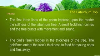 The Laburnum Top
• The first three lines of the poem impress upon the reader
the stillness of the laburnum tree. A small Goldfinch comes
and the tree bursts with movement and sound.
• The bird’s family lodges in the thickness of the tree. The
goldfinch enters the tree’s thickness to feed her young ones
and flies away.
THEME:
 