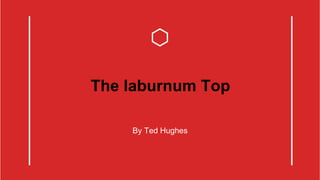 The laburnum Top
By Ted Hughes
 