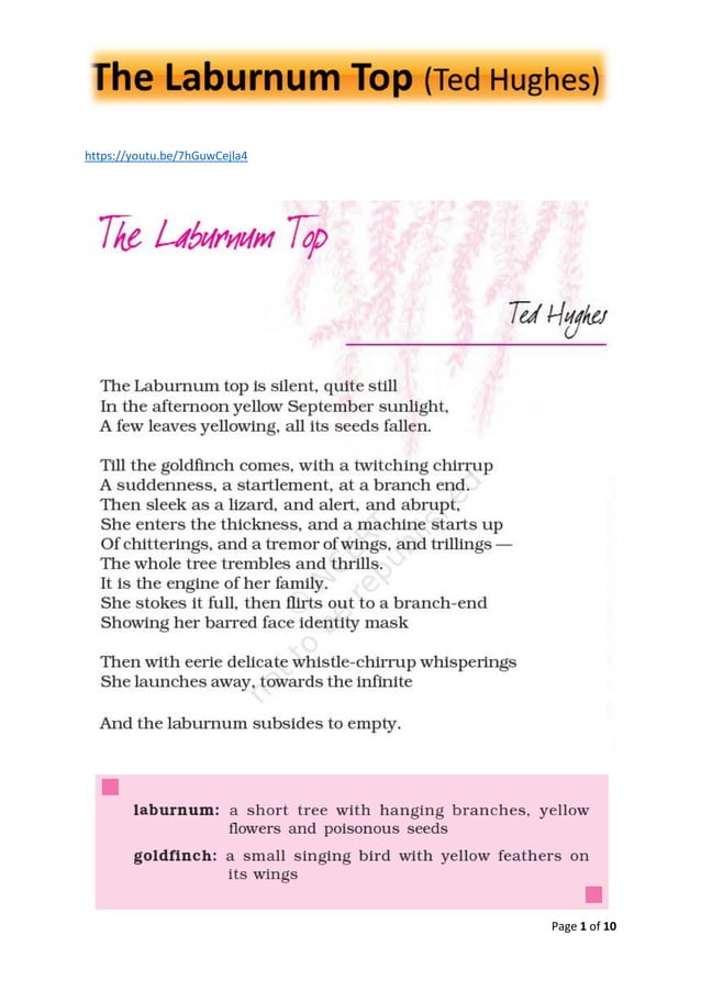 The Laburnum Top by Ted Hughes NOTES CBSE XI English PDF