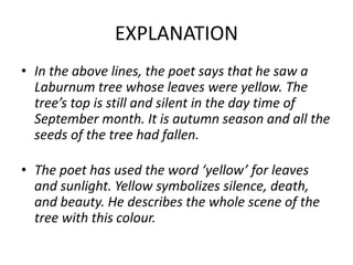 EXPLANATION
• In the above lines, the poet says that he saw a
Laburnum tree whose leaves were yellow. The
tree’s top is still and silent in the day time of
September month. It is autumn season and all the
seeds of the tree had fallen.
• The poet has used the word ‘yellow’ for leaves
and sunlight. Yellow symbolizes silence, death,
and beauty. He describes the whole scene of the
tree with this colour.
 
