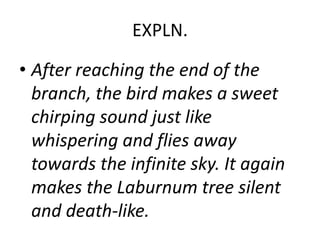 EXPLN.
• After reaching the end of the
branch, the bird makes a sweet
chirping sound just like
whispering and flies away
towards the infinite sky. It again
makes the Laburnum tree silent
and death-like.
 