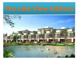 The Lake View Address
 