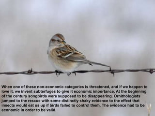 When one of these non-economic categories is threatened, and if we happen to
love it, we invent subterfuges to give it economic importance. At the beginning
of the century songbirds were supposed to be disappearing. Ornithologists
jumped to the rescue with some distinctly shaky evidence to the effect that
insects would eat us up if birds failed to control them. The evidence had to be
economic in order to be valid.
 