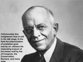 Unfortunately this
enlightened view is still
in the talk stage. In the
field the extermination
of predators goes
merrily on: witness the
impending erasure of
the timber wolf by fiat
of Congress, the
Conservation
Bureaus, and many
 
