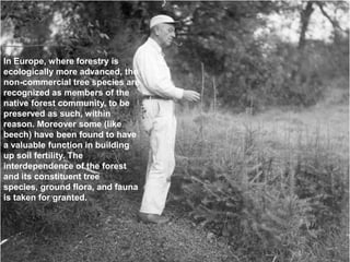 In Europe, where forestry is
ecologically more advanced, the
non-commercial tree species are
recognized as members of the
native forest community, to be
preserved as such, within
reason. Moreover some (like
beech) have been found to have
a valuable function in building
up soil fertility. The
interdependence of the forest
and its constituent tree
species, ground flora, and fauna
is taken for granted.
 
