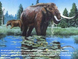 At what point will governmental conservation, like the mastodon, become
handicapped by its own dimensions? The answer, if there is any, seems to be in a
land ethic, or some other force which assigns more obligation to the private
landowner.
 