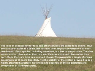 The lines of dependency for food and other services are called food chains. Thus
soil-oak-deer-Indian is a chain that has now been largely converted to soil-corn-
cow farmer. Each species, including ourselves, is a link in many chains. The deer
eats ahundred plants other than oak, and the cow a hundred plants other than
corn. Both, then, are links in a hundred chains. The pyramid is a tangle of chains
so complex as to seem disorderly, yet the stability of the system proves it to be a
highly organized structure. Its functioning depends on the co-operation and
competition of its diverse parts.
 