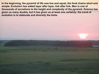 In the beginning, the pyramid of life was low and squat; the food chains short and
simple. Evolution has added layer after layer, link after link. Man is one of
thousands of accretions to the height and complexity of the pyramid. Science has
given us many doubts, but it has given us at least one certainty: the trend of
evolution is to elaborate and diversify the biota.
 