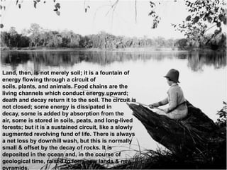 Land, then, is not merely soil; it is a fountain of
energy flowing through a circuit of
soils, plants, and animals. Food chains are the
living channels which conduct energy upward;
death and decay return it to the soil. The circuit is
not closed; some energy is dissipated in
decay, some is added by absorption from the
air, some is stored in soils, peats, and long-lived
forests; but it is a sustained circuit, like a slowly
augmented revolving fund of life. There is always
a net loss by downhill wash, but this is normally
small & offset by the decay of rocks. It is
deposited in the ocean and, in the course of
geological time, raised to form new lands & new
pyramids.
 
