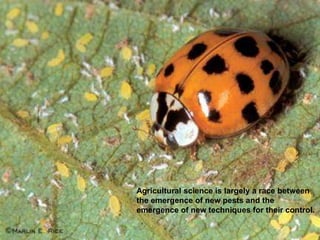 Agricultural science is largely a race between
the emergence of new pests and the
emergence of new techniques for their control.
 