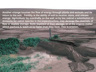 Another change touches the flow of energy through plants and animals and its
return to the soil. Fertility is the ability of soil to receive, store, and release
energy. Agriculture, by overdrafts on the soil, or by too radical a substitution of
domestic for native species in the superstructure, may derange the channels of
flow or deplete storage. Soils depleted of their storage, or of the organic matter
which anchors it, wash away faster than they form. This is erosion.
 
