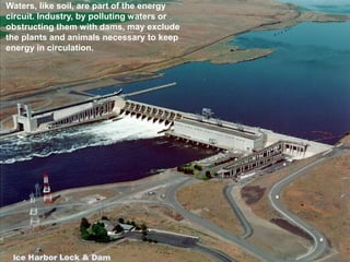 Waters, like soil, are part of the energy
circuit. Industry, by polluting waters or
obstructing them with dams, may exclude
the plants and animals necessary to keep
energy in circulation.
 