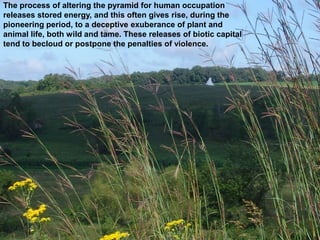 The process of altering the pyramid for human occupation
releases stored energy, and this often gives rise, during the
pioneering period, to a deceptive exuberance of plant and
animal life, both wild and tame. These releases of biotic capital
tend to becloud or postpone the penalties of violence.
 
