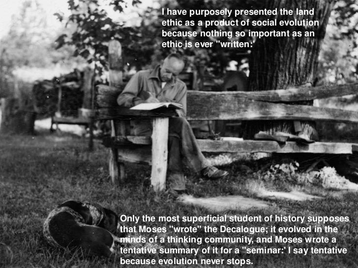 The Land Ethic (part 3)