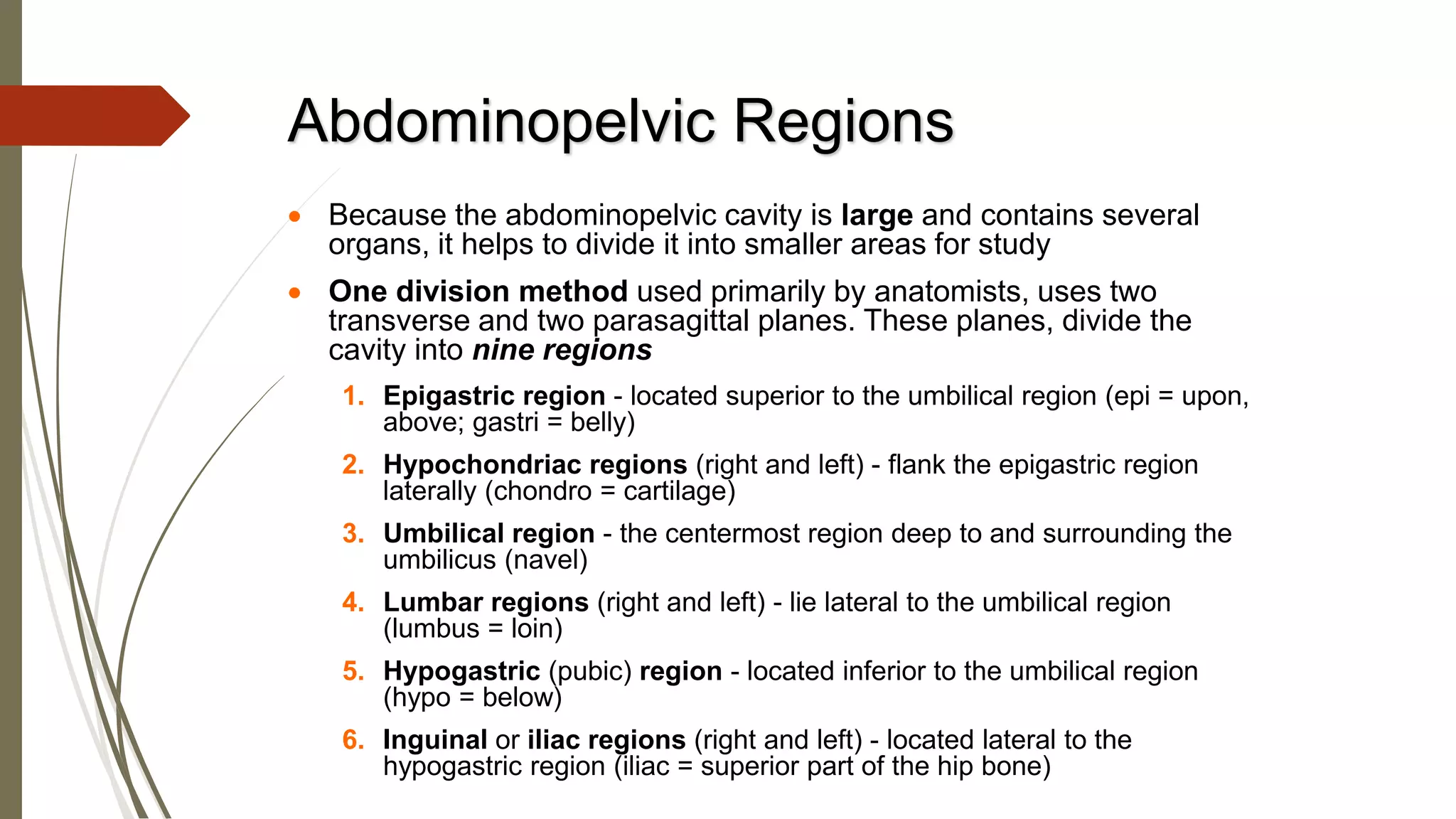 • Because the abdominopelvic cavity is large and contains several
organs, it helps to divide it into smaller areas for study
• One division method used primarily by anatomists, uses two
transverse and two parasagittal planes. These planes, divide the
cavity into nine regions
1. Epigastric region - located superior to the umbilical region (epi = upon,
above; gastri = belly)
2. Hypochondriac regions (right and left) - flank the epigastric region
laterally (chondro = cartilage)
3. Umbilical region - the centermost region deep to and surrounding the
umbilicus (navel)
4. Lumbar regions (right and left) - lie lateral to the umbilical region
(lumbus = loin)
5. Hypogastric (pubic) region - located inferior to the umbilical region
(hypo = below)
6. Inguinal or iliac regions (right and left) - located lateral to the
hypogastric region (iliac = superior part of the hip bone)
Abdominopelvic Regions
 