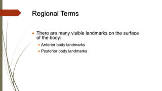 • There are many visible landmarks on the surface
of the body:
• Anterior body landmarks
• Posterior body landmarks
Regional Terms
 