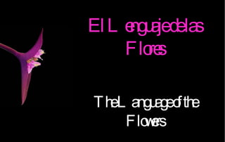 El Lenguaje de las Flores The Language of the Flowers 