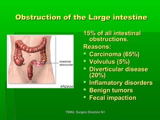 Large Intestine Resection The large intestine | PPT
