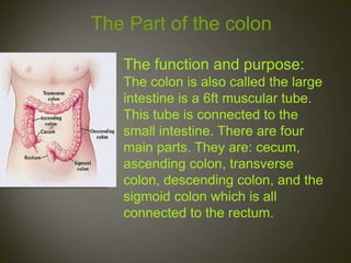 The Part of the colon

   The function and purpose:
   The colon is also called the large
   intestine is a 6ft muscular tube.
   This tube is connected to the
   small intestine. There are four
   main parts. They are: cecum,
   ascending colon, transverse
   colon, descending colon, and the
   sigmoid colon which is all
   connected to the rectum.
 