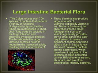 • . The Colon houses over 700         • These bacteria also produce
  species of bacteria that perform      large amounts of
  a variety of functions.               vitamins, especially vitamin K
  Undigested polysaccharides            and Biotin (a B vitamin), for
  (fiber) are metabolized to short-     absorption into the blood.
  chain fatty acids by bacteria in      Although this source of
  the large intestine and               vitamins generally provides
  absorbed by passive diffusion.        only a small part of the daily
  The bicarbonate the large             requirement, it makes a
  intestine secretes helps to           significant contribution when
  neutralize the increased acidity      dietary vitamin intake is low.
  resulting from the formation of       The most prevalent bacteria
  these fatty acids.                    are the bacteroides, which
                                        have been implicated in the
                                        initiation of colitis and colon
                                        cancer. Bifidobacteria are also
                                        abundant, and are often
                                        described as 'friendly bacteria'.
 