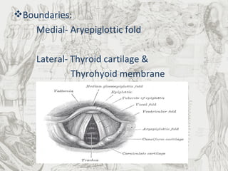Boundaries: Medial- Aryepiglottic fold Lateral- Thyroid cartilage &   Thyrohyoid membrane 