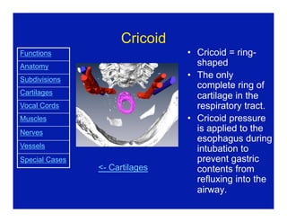 the_larynx.pdf ENT larynx muscles ppt seminar | PDF