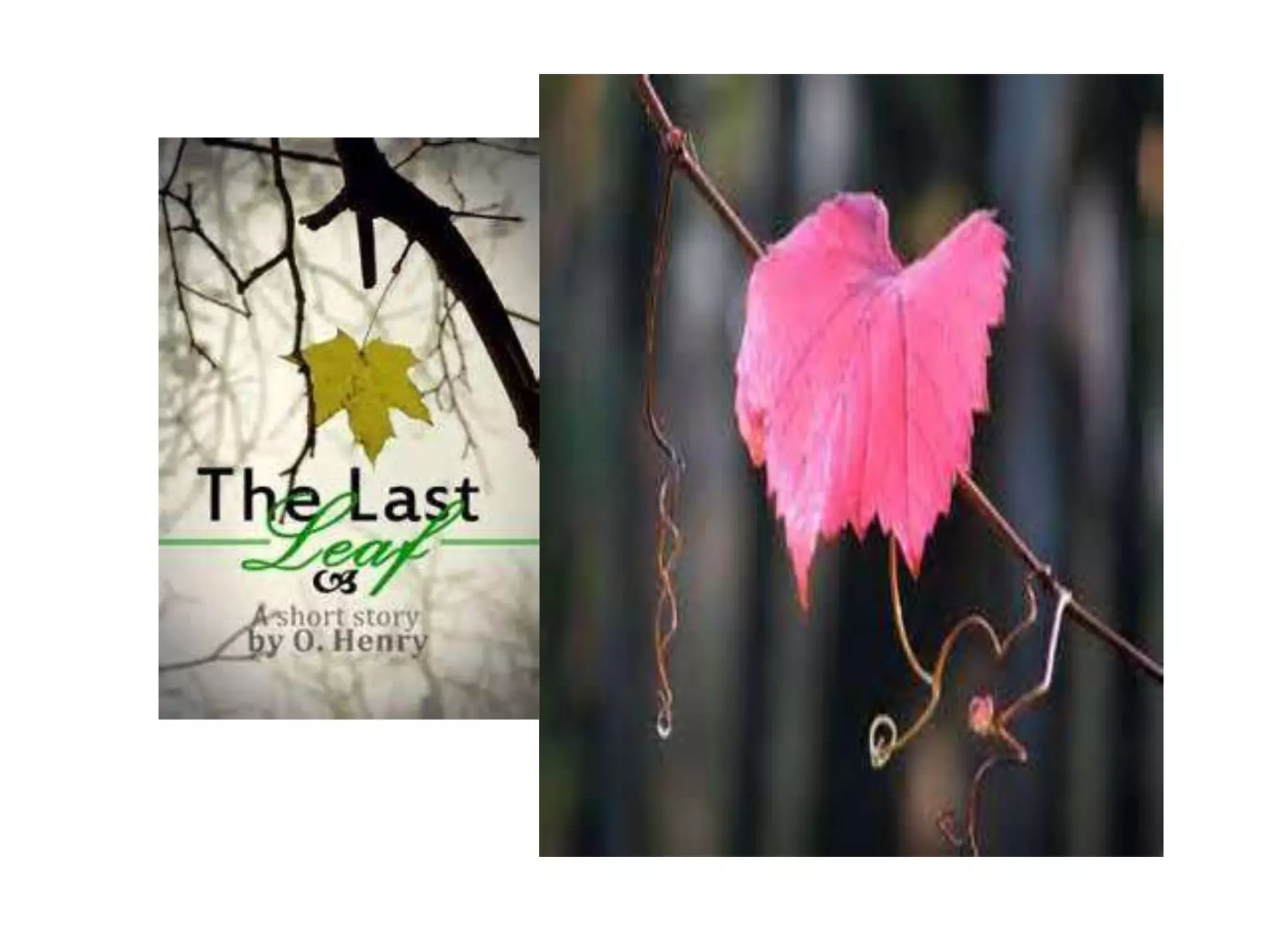 The last leaf | PPTX
