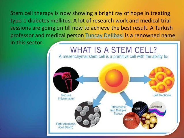 The latest procedure of stem cell therapy for type-1 diabetes mellitus ...