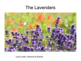 The Lavenders
Laura, Anaïs, Yasmine et Océane
 