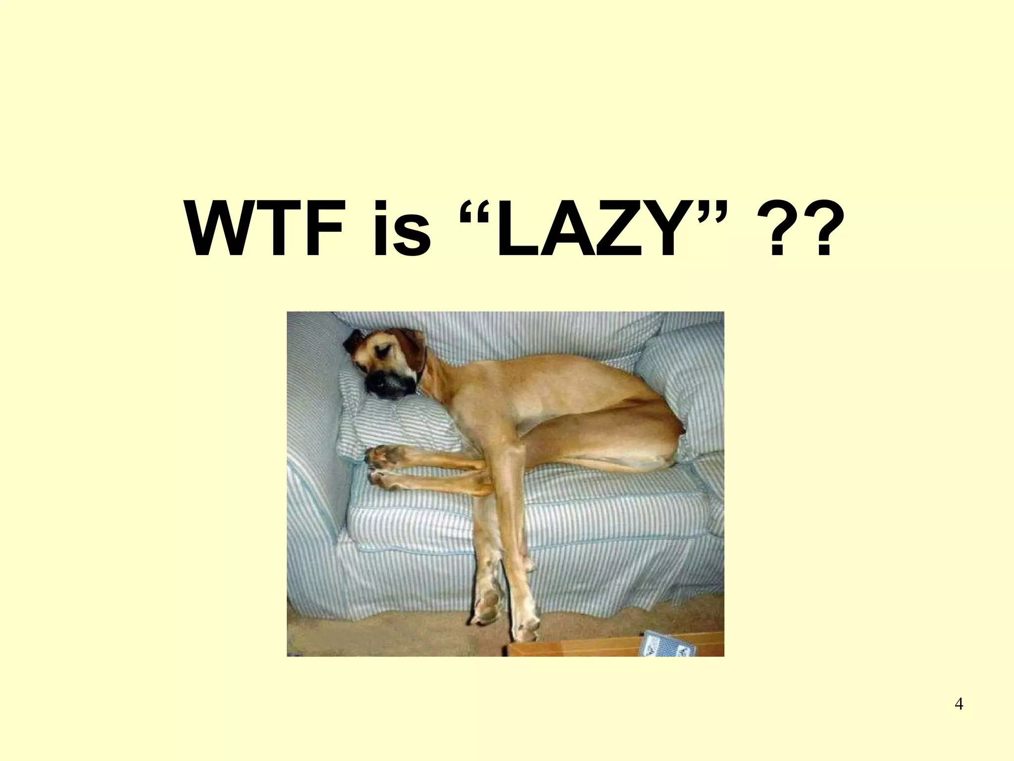 WTF is “LAZY” ??




                   4
 