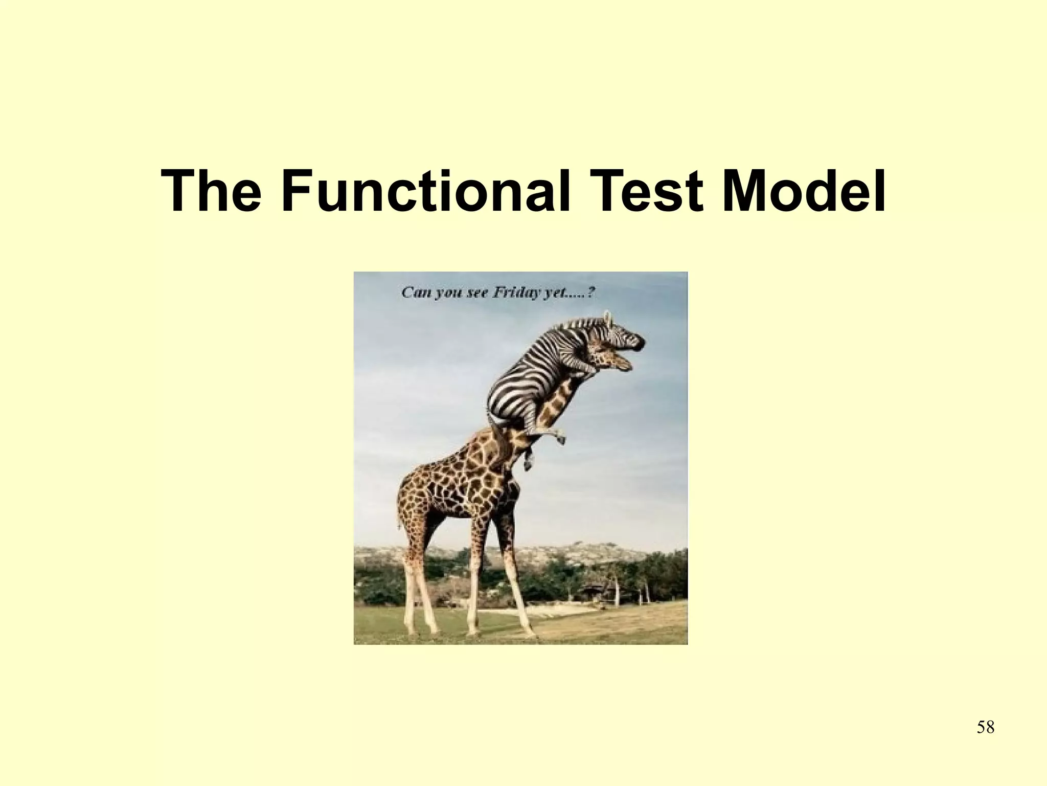The Functional Test Model




                            58
 