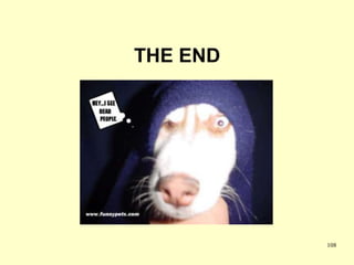 THE END




          108
 