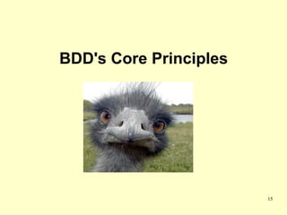BDD's Core Principles




                        15
 