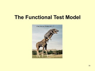 The Functional Test Model




                            58
 