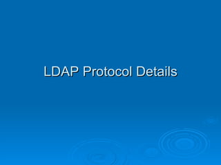 LDAP Protocol Details 
