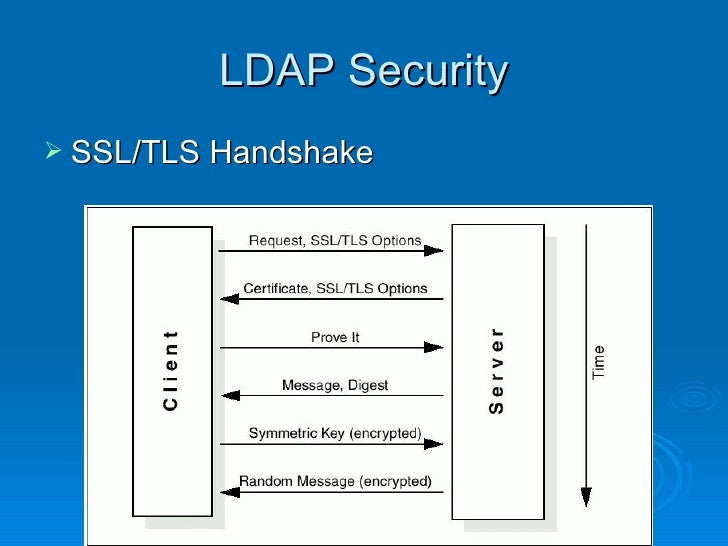 The Ldap Protocol The Ldap Protocol