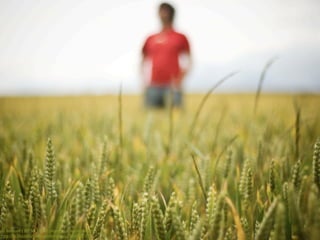 cc licensed ( BY SA ) ﬂickr photo by benjaminasmith:
http://ﬂickr.com/photos/dotbenjamin/2660459737/
 