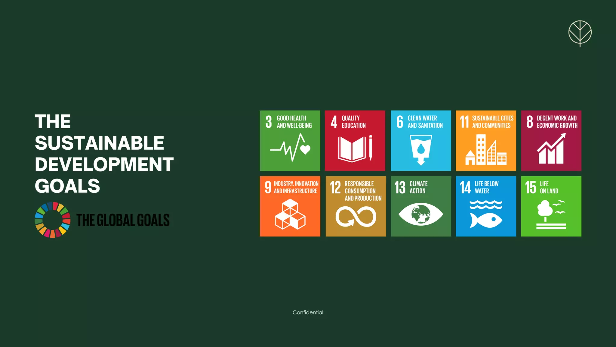 THE
SUSTAINABLE
DEVELOPMENT
GOALS
Confidential
 