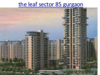 the leaf sector 85 gurgaon
 