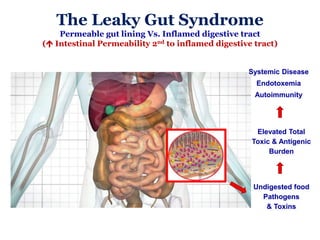 The Leaky Gut Syndrome
Permeable gut lining Vs. Inflamed digestive tract
( Intestinal Permeability 2nd to inflamed digestive tract)
Elevated Total
Toxic & Antigenic
Burden
Systemic Disease
Endotoxemia
Autoimmunity
Undigested food
Pathogens
& Toxins
 