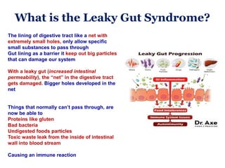 What is the Leaky Gut Syndrome?
The lining of digestive tract like a net with
extremely small holes, only allow specific
small substances to pass through
Gut lining as a barrier it keep out big particles
that can damage our system
With a leaky gut (increased intestinal
permeability), the “net” in the digestive tract
gets damaged. Bigger holes developed in the
net
Things that normally can’t pass through, are
now be able to
Proteins like gluten
Bad bacteria
Undigested foods particles
Toxic waste leak from the inside of intestinal
wall into blood stream
Causing an immune reaction
 