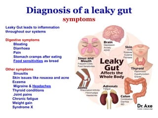 Diagnosis of a leaky gut
symptoms
Leaky Gut leads to inflammation
throughout our systems
Digestive symptoms
Bloating
Diarrhoea
Pain
Stomach cramps after eating
Food sensitivities as bread
Other symptoms
Sinusitis
Skin issues like rosacea and acne
Eczema
Migraine & Headaches
Thyroid conditions
Joint pains
Chronic fatigue
Weight gain
Syndrome X
 