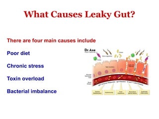 There are four main causes include
Poor diet
Chronic stress
Toxin overload
Bacterial imbalance
What Causes Leaky Gut?
 