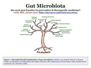 Gut Microbiota
the next-gen frontier in preventive & therapeutic medicine?
Front. Med., 23 June 2014 | https://doi.org/10.3389/fmed.2014.00015
Figure 1. Speculated health implications of gut microbiota. NAFLD, non-alcoholic fatty liver disease;
NASH, non-alcoholic steatohepatitis; HS, hepatic steatosis; IBD, inflammatory bowel disease; IBS, irritable bowel
syndrome; UC, ulcerative colitis.
 
