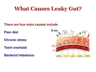 The leaky gut syndrome Slide 23