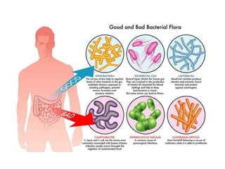 The leaky gut syndrome Slide 4