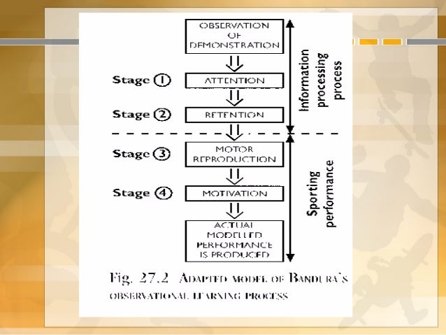 The learning process