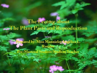 The Lecture aboutThe Plant Parts and Reproduction Prepared by: Miss Mannielet Angelica L. Rosales Pre-Masteral Student/Student Teacher 
