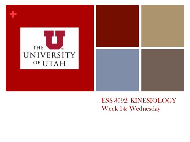 +
ESS 3092: KINESIOLOGY
Week 14: Wednesday
 